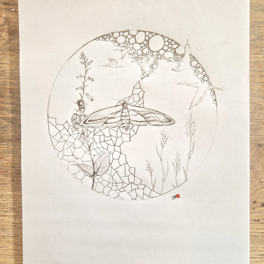 Swarms of Privets | Drawing | Simone Freiheit