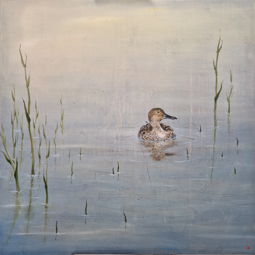 Northern Pintail | Original acrylic painting | Simone Freiheit