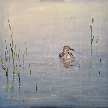 Northern Pintail | Original acrylic painting | Simone Freiheit