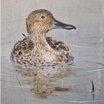 Northern Pintail | Original acrylic painting | Simone Freiheit